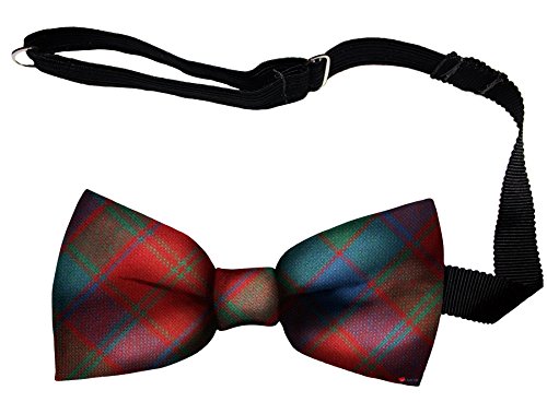 Noeud papillon homme fixation facile en laine douce Robertson