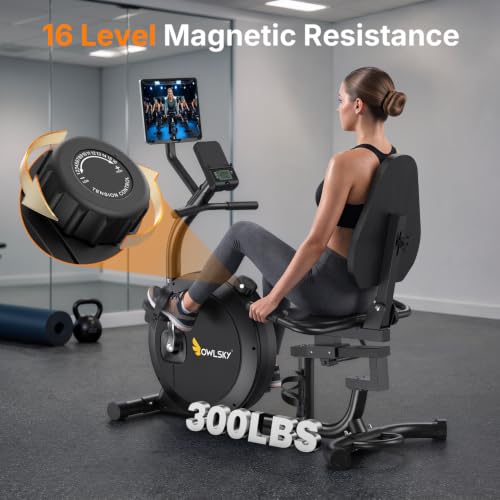 Image of OWLSKY Recumbent Exercise Bike for Home Gym, Magnetic Stationary Bike with 16-Level Resistance, Quiet 15LBS Flywheel, 300LBS Capacity, Low-Impact Cardio & Physical Therapy