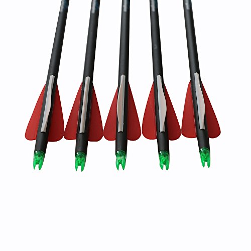 Huntingdoor Archery 31 Inch 6Pcs Carbon Arrows 500 Spine For Recurve And Compound Bow For Hunting Target Practice With 6Pcs 3 Blade Broadheads #TOP5