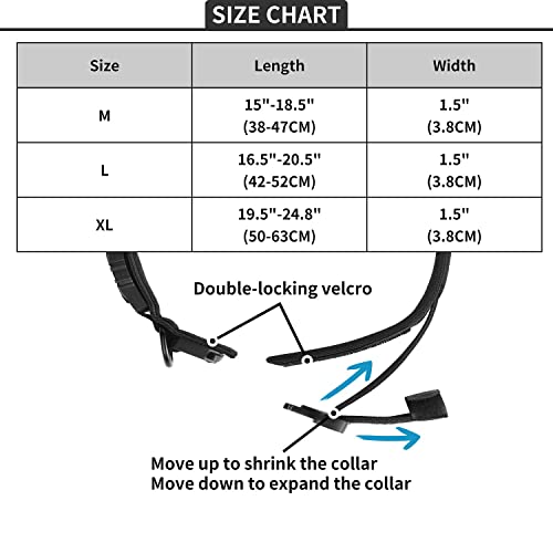 Tactical Airtag Dog Collar Leash Set,Feeyar Heavy Duty Air Tag Dog Collar With Handle Bungee Leash,Military Dog Collar With Apple Airtag Holder And Handle,Gps Dog Collar For Medium Large Dogs. #TOP5