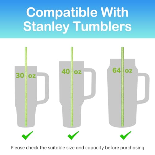 Pailles Stanley NiHome lot de 12 pour remplacer vos accessoires usés