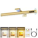 Olafus Picture Light Battery Operated with Remote, Rechargeable Wall Light, 3 Color Temperatures, Infinite Dimming and Timer, Cordless Art Frame Lighting, Gallery Painting Display Lamp Gold