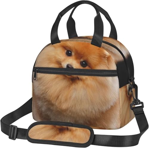 かわいいポメラニアンの子犬 多機能保冷保温弁当箱 ソフトクーラー手提げ食品収納 ハンドバッグスタイリッシュショッピングバッグ