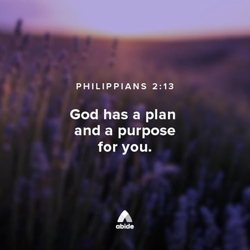 Find Your Purpose