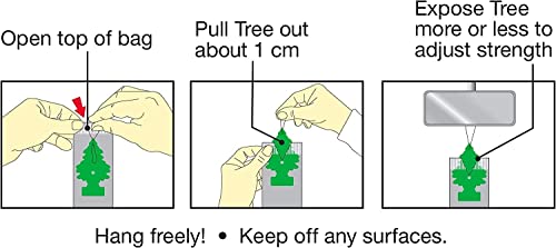 Little Trees Car Freshener, Black Ice, 10-Pack #TOP3