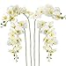 RERXN Lot de 4 pièces de Fleurs d'orchidées Phalaenopsis artificielles 9 têtes de Fleurs d'orchidées Papillon pour la décoration de la Maison (White 01)