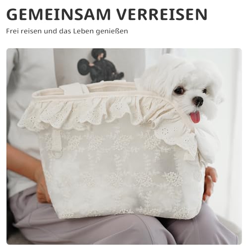 ONECUTE Hundetasche/Tragetasche für Hunde, Spitze, klein, für Hunde und Katzen und Kaninchen, Beige (24 * 15 * 23 cm)
