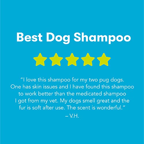 Ecos Hypoallergenic Conditioning Shampoo 17Oz,Clear #TOP4