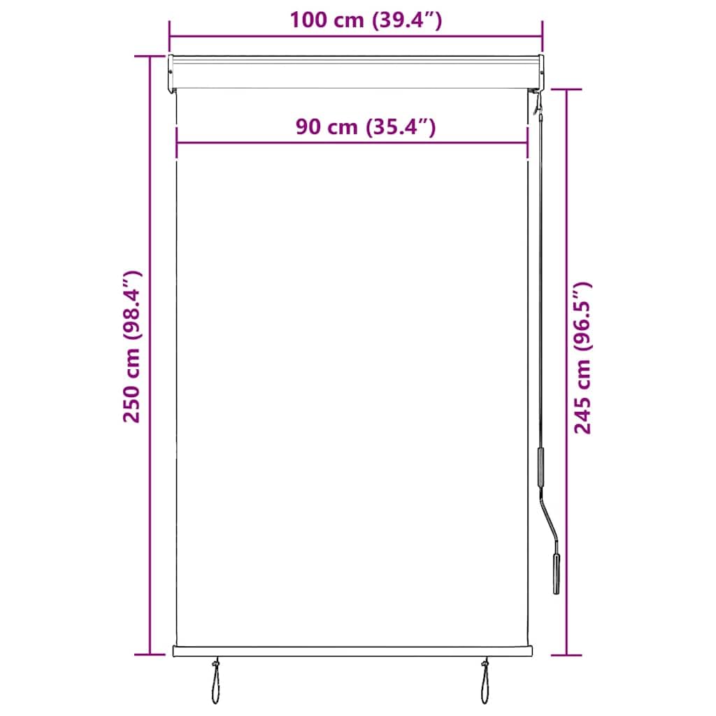 Store Roulant Extérieur 100 x 250 cm, Volet Vertical Manuel à Manivelle pour Balcon, Terrasse et Jardin, Rideau Intimité en Tissu Polyester Crème, Fixation au Plafond