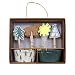 Meri Meri 45-2782 Let's Explore Cupcake Kit