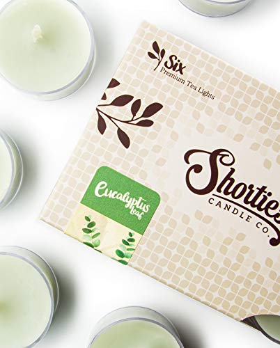 Eucalyptus Leaf Premium Tealight Candles Bulk Pack - Highly Scented With Essential & Natural Oils - 24 Green Tea Lights - Beautiful Candlelight - Made In The Usa - Fresh & Clean Collection #TOP3