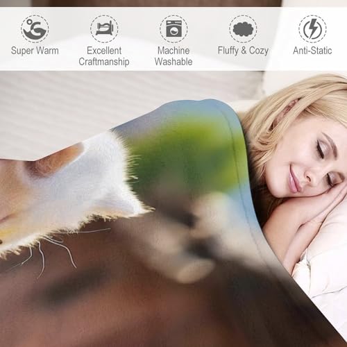 Manta de forro polar de 180 x 200 cm suave y cálida para cama y sofá de salón 6