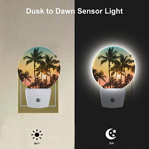 Image of EKOBLA Palm Tree Sunset Night Light, Tropical Beach Night Lights Plug Into Wall with Auto Sensor, 0.5W Sleep Friendly
