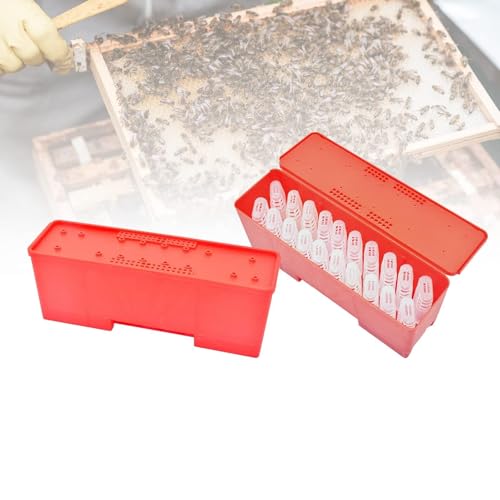 petjoyful 20PCS Bienenkäfig mit Transportbox Bienenkäfighalter Bienenaufzuchtsystem für Imkerbedarf Bienenstock-Werkzeugset