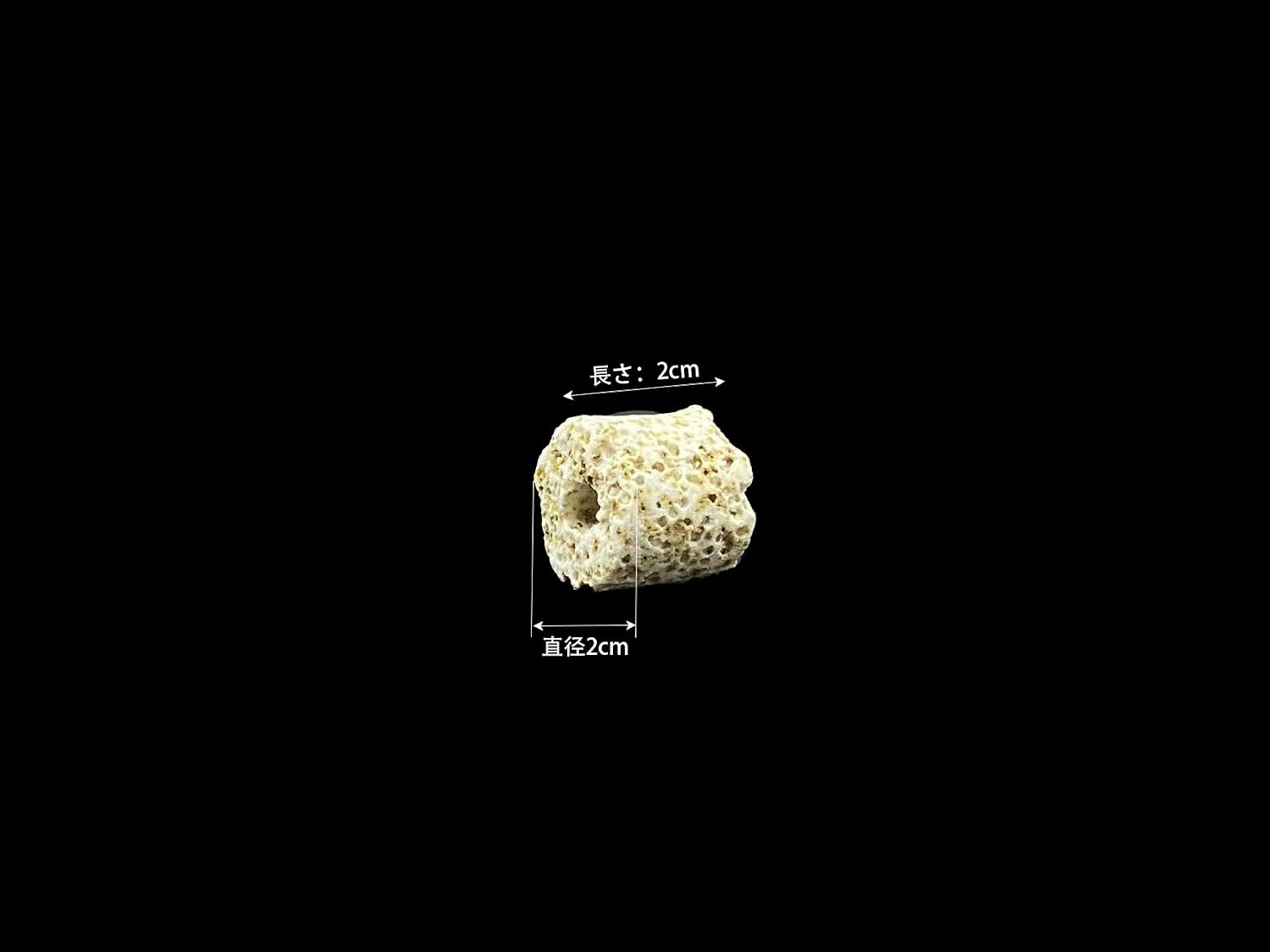 15L 多孔質納豆菌入りパワーリングろ材 15kg袋販売ろ材、濾過材