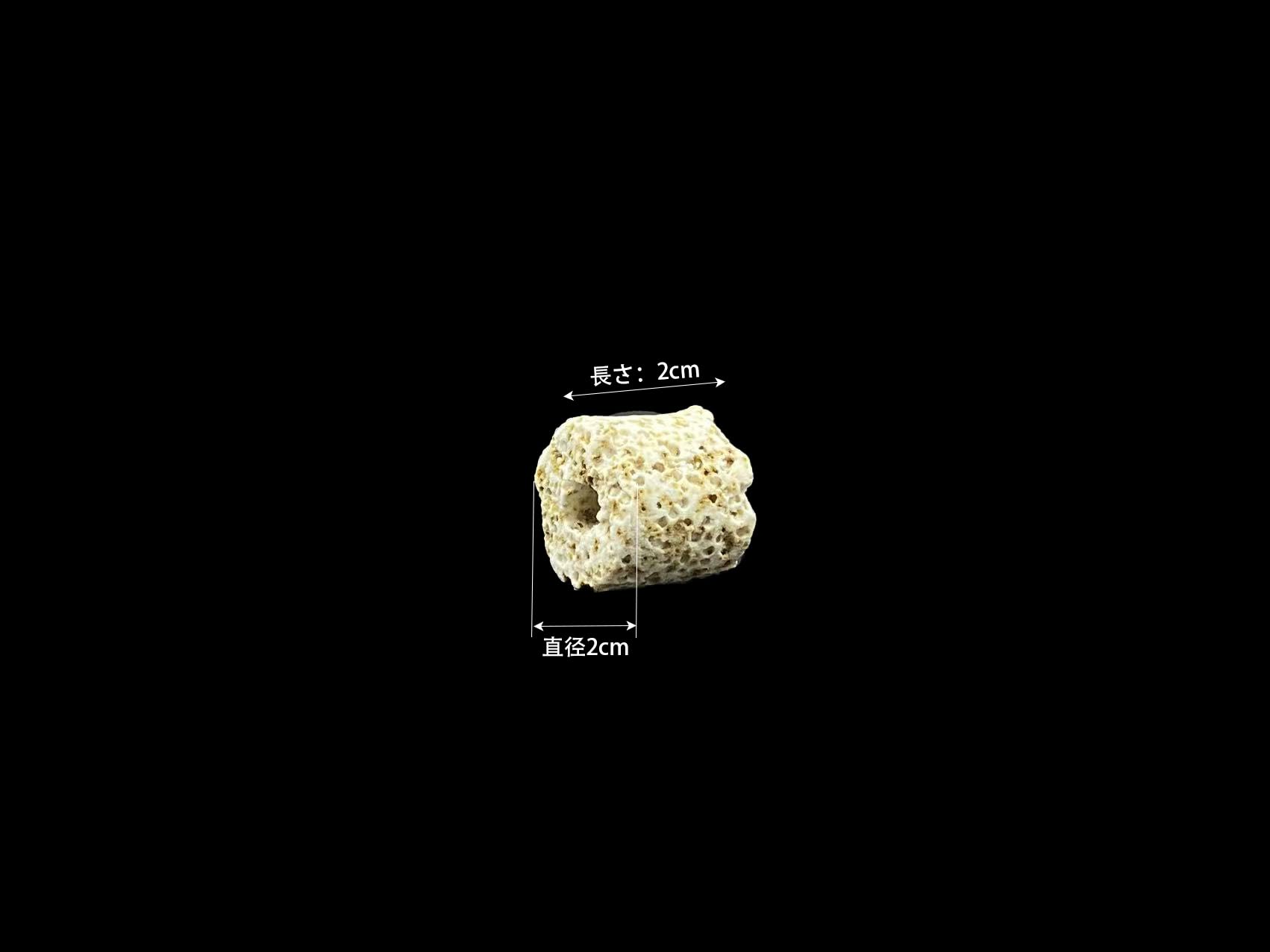 Amazon | 多孔質納豆菌入りパワーリングろ材 濾過材リングろ材 (20L