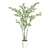 フェイクグリーン 155cm 大型 41mBrpgLJPL._SS200_.jpg