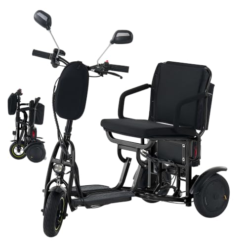 WIILAYOK 3-Wheel Foldable