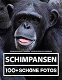 Schimpansen Buch - Bildband - Große Erstaunliche Sammlung: 100 Wunderschöne Bildern - Für Kinder und Erwachsene