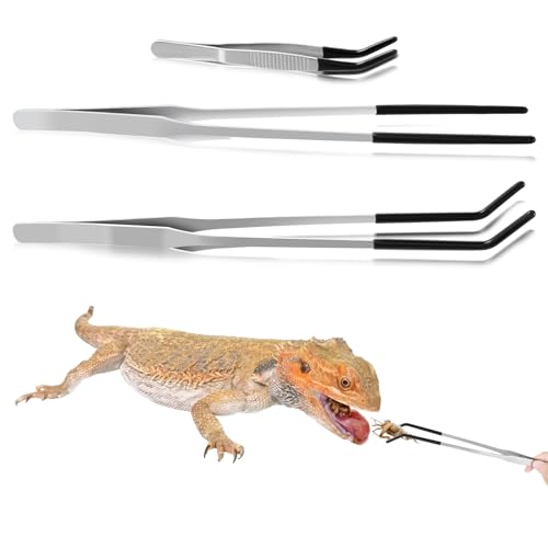 Ouligay 3 Stück Aquarium Pinzette Lang 27 cm Edelstahl Futterzange für Reptilien, Gerade und Gebogen Spitze Lange Pinzette mit Gummispitze Futterwerkzeug für Eidechsen Wasserpflanze Pflanzenpinzette Ouligay 3 Stück Aquarium Pinzette Lang 27 cm Edelstahl Futterzange für Reptilien, Gerade und Gebogen Spitze Lange Pinzette mit Gummispitze Futterwerkzeug für Eidechsen Wasserpflanze Pflanzenpinzette