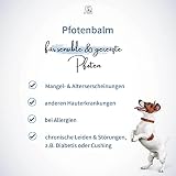 Dr. Hölter Pfotenbalsam Pfotenbalm natürlichen Pflege von trockenen/rissigen Hundepfoten bei starker Beanspruchung Pfotenwachs (50ml Pfotenbalm)