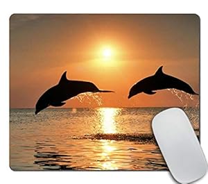 Amcove Delfin Sonnenuntergang Mauspad 240x200mm