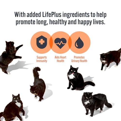 HiLife It's Only Natural Cat Pouch Multipack The Big Chicken One In Jelly 32x70g - Image 5