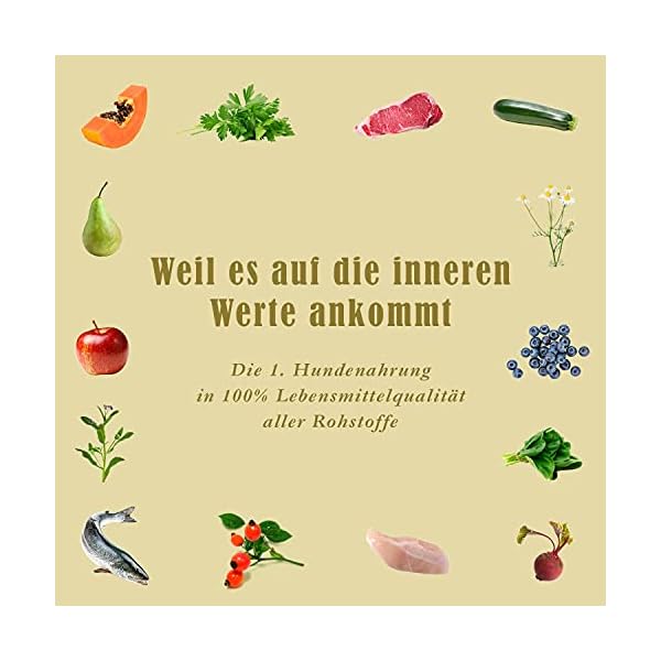 Terra Canis Classic Nassfutter – Bild 5