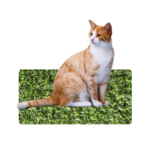 Tapete Grama Sanitario Higiênico Lavável para Cães e Gato 1,00 x 1,00