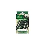 Vilmorin - Paquete Semillas Salsifí Negro