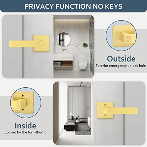 Ehomeware 6 Pack Interior Door Handle In Satin Brass Finish, Privacy Function For Bedroom Bathroom, Heavy Duty Gold Door Handles With Modern Design #TOP2