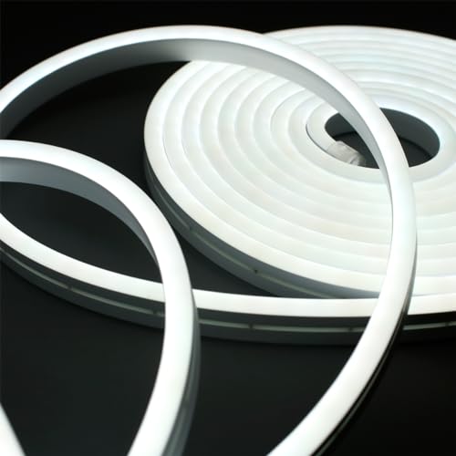 Fita Neon Led 5m 12v Corte 2,5cm Flexivel Alto Brilho (Branco Frio)
