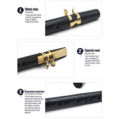 Fdrirect Kit de saxofone de bolso, 1 mini sax instrumento de sopro portátil Instrumentos profissiona