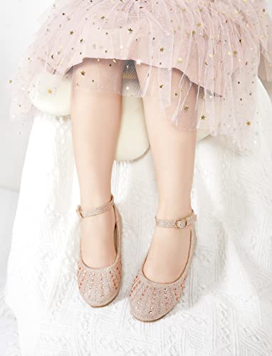 Image of GINFIVE Toddler Girls Dress Shoes Little Girls Mary Janes Ballerina Flats Shoes Toddler