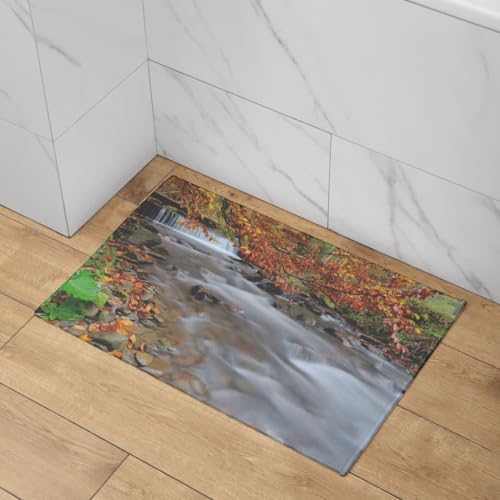 Tapis de sol antidérapant et absorbant lavable pour entrée