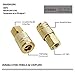 JS Tools 10 Pieces Female Air Coupler Set, 1/4 Inch NPT Thread and Body Size Quick Connect Air Tool, Industrial Grade M-Style Coupler with Brass Finish for Quickly and Safely Disconnect Air Hose