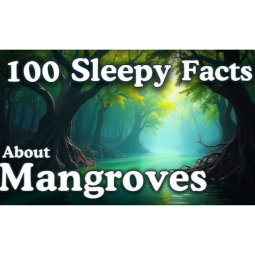The Most Relaxing Facts About Magnets to Fall Asleep To _ No Adverts