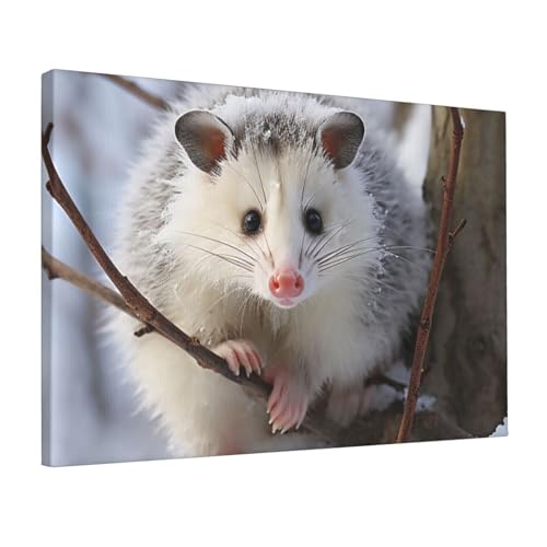 Toile murale rétro opossum sous la neige 30x45 cm décoration JHLMN pour salon