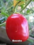 Rocoto Pepper AKA Red Manzano (10 Seeds) Can live for over 15 years- From Peru