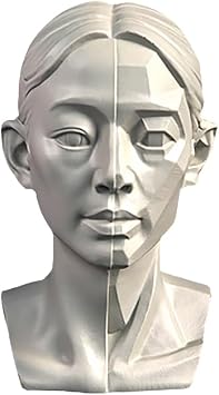 Woman Head Models for Portrait Sketching, Still Life Skulls Drawing Models, Resin Human Manikin Head Sculpture for Medical Drawing Teaching, Resin Plaster Statues 11.5cm 4.5in Head & Block