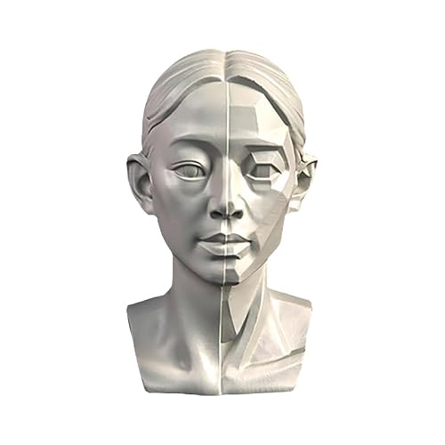 YANGJJ Modèles de tête de femme pour esquisse de portrait, modèles de dessin de crânes de nature morte, sculpture de tête de mannequin humaine en résine pour enseignement du dessin médical, statues en