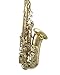 Prelude Student Model AS711 Alto Saxophone by Conn-Selmer