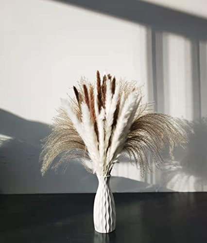 Dried Pampas Grass, 60 Pcs Natural Pampas Grass with 3 Colors Fluffy Swinging Boho Plant 17″ Small Flower Bouquet Decorative Flora Arrangement Home Decor for Living Room Balcony Wedding Party