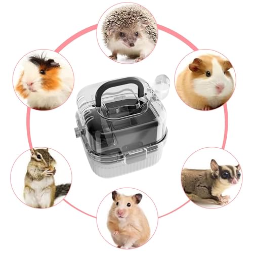 Transporteur De Voyage pour Hamster, Cage De Voyage pour Petit Animal De Compagnie – Image 3