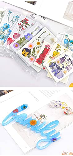 Artigos de arte de flores secas prensadas Kit de ervas para flores secas para scrapbooking decoração