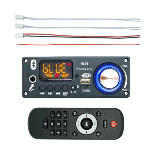 Decodificador MP3 y amplificador audio 2x80W para música en la radio de coche o terrazas
