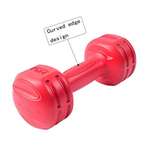 Dumbbell Home Exercise for Ladies Kids Arm Hand Weights Dumbbells Hex Dumbbells Weights Heavy Choose Weight Barbell Set… - Afbeelding 3