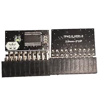 Tpm2.0 Encryption Security Module, Ga 20-1 Pin Remote Card for Update Win11 System, Memory Chip of DDR4 Compatible with Gigabyte Motherboard Platform