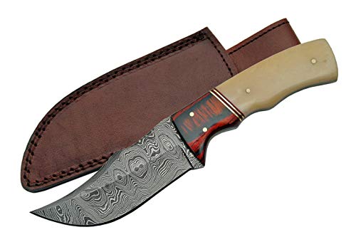 Szco Supplies DM-1078 Damascus Knife with Bone/Cherry Colorwood Handle