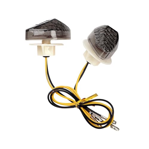 Genérico Intermitentes Para Motocicletas - Luces LED Para Moto - Indicadores Impermeables para Camping, Carreras, Urbano, Turismo y Scooter
